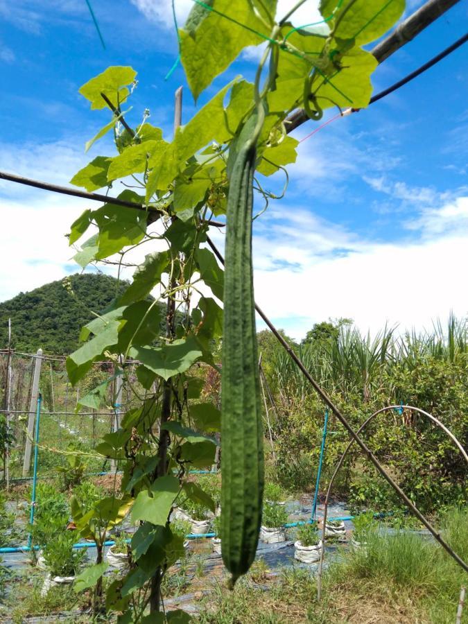 Villa Royal Mountain View Ratchaburi Esterno foto